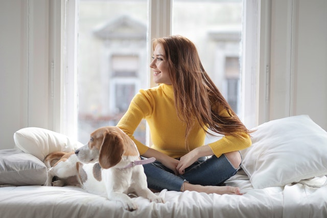 Vidéo présentation