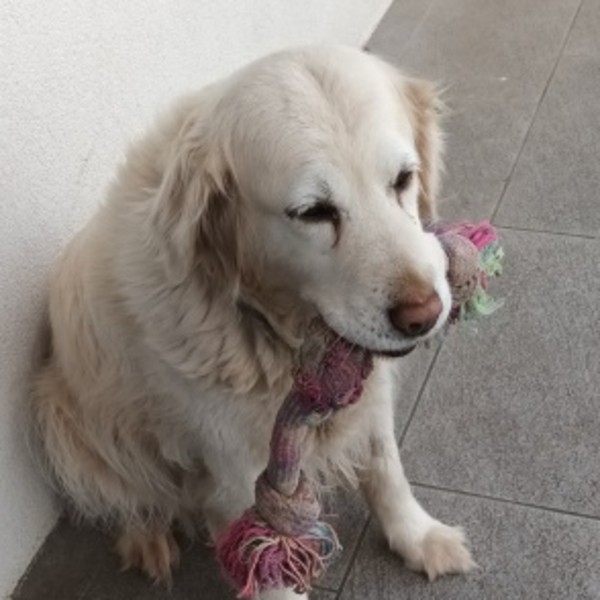 JALA