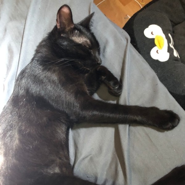 Lenny