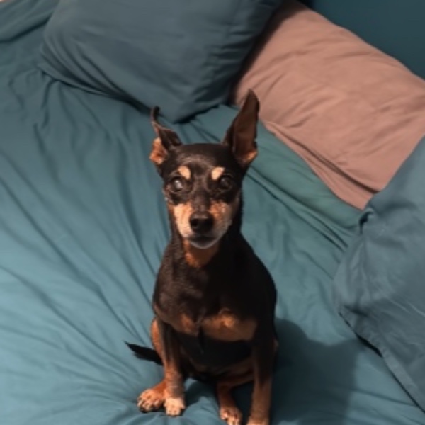 Ella