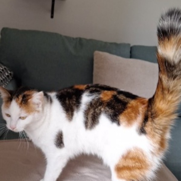 Freyja