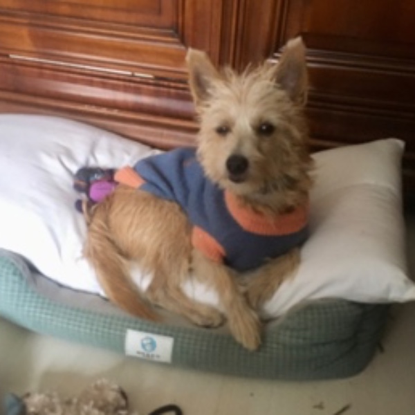 Photo de Leo (Leonard)