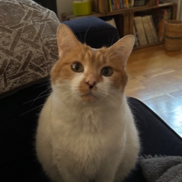 Pixel
