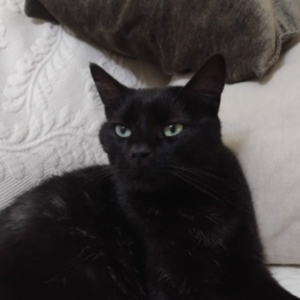 Osiris