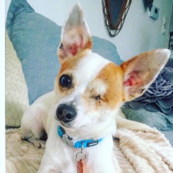 Billy