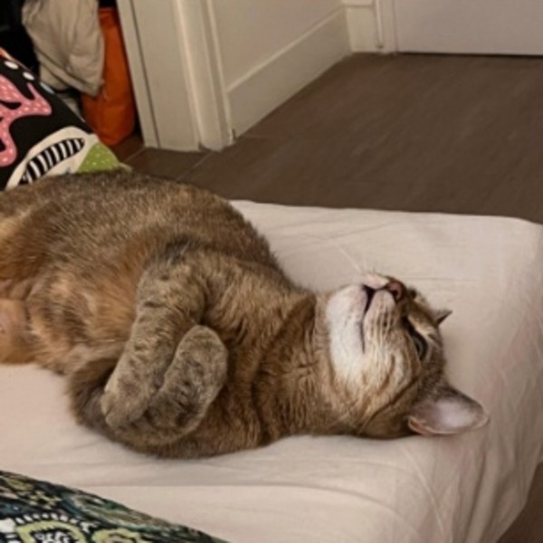 Bouillotte