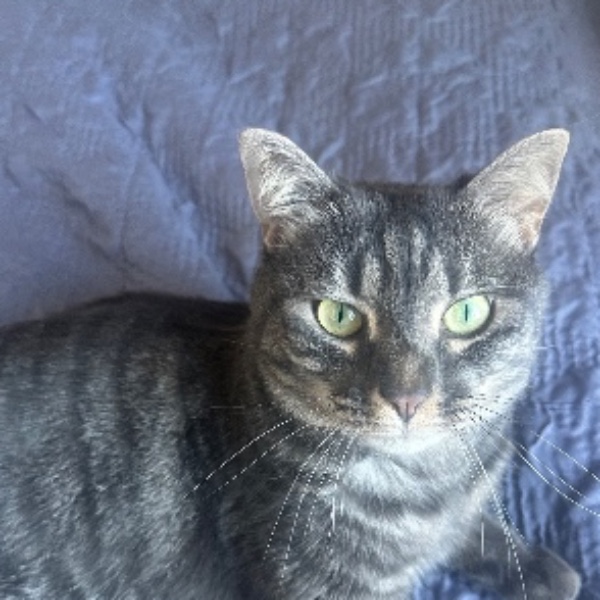 Thelma