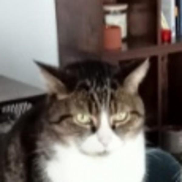 Fifi