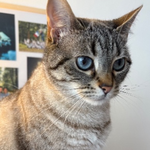 Photo de Tosca