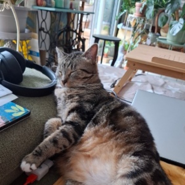 Photo de Oscar