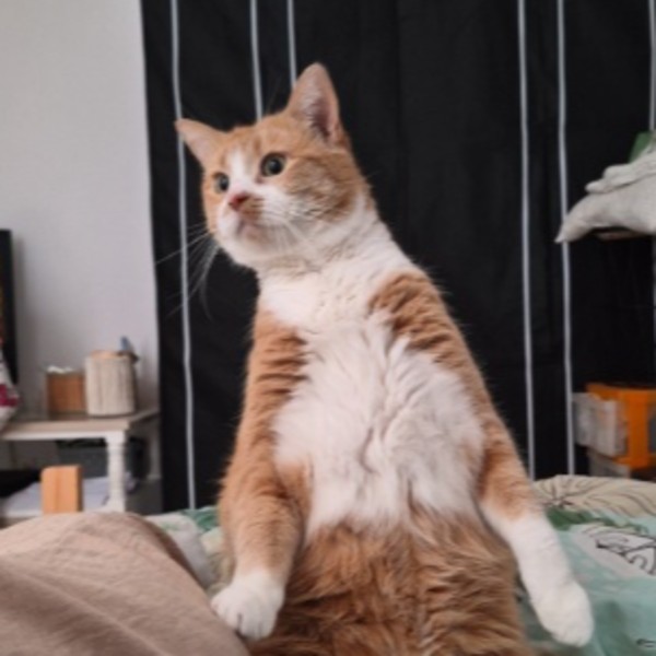 Mimie