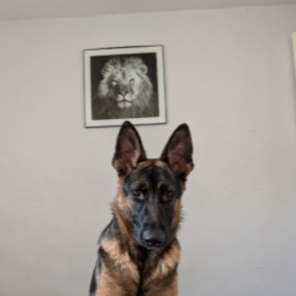 Asia