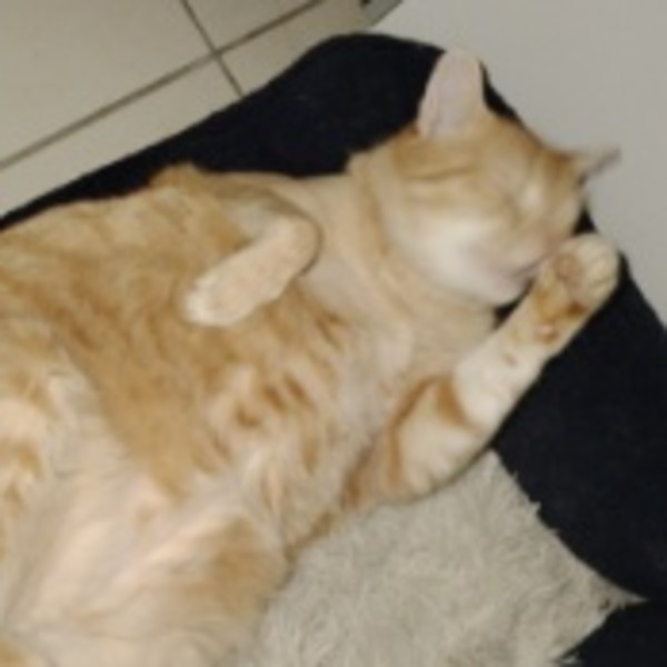 ROWHAN