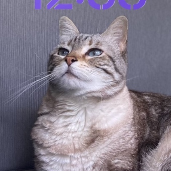 Tigrou