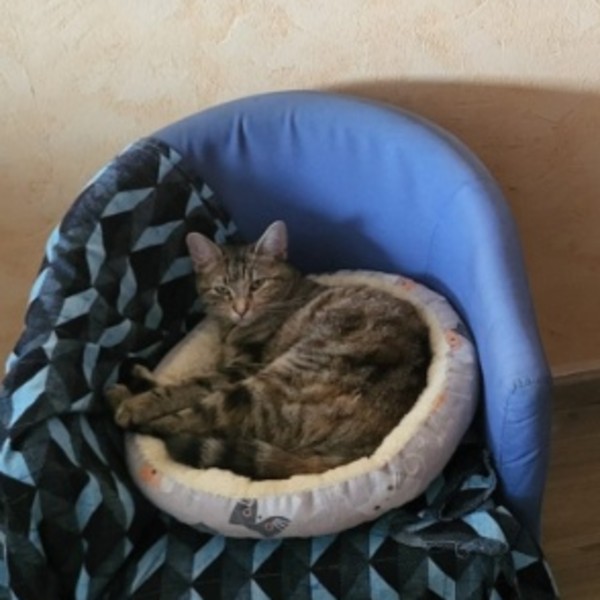 Fidji