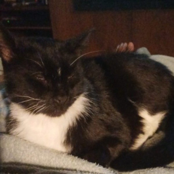 Berlioz