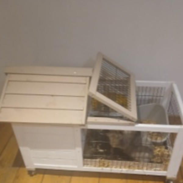 Photo de Polo