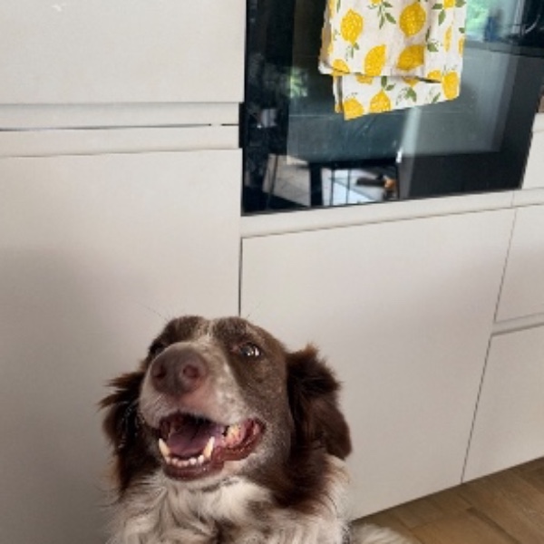 Olaf