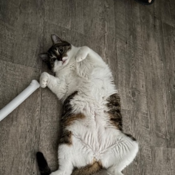 Photo de Kat
