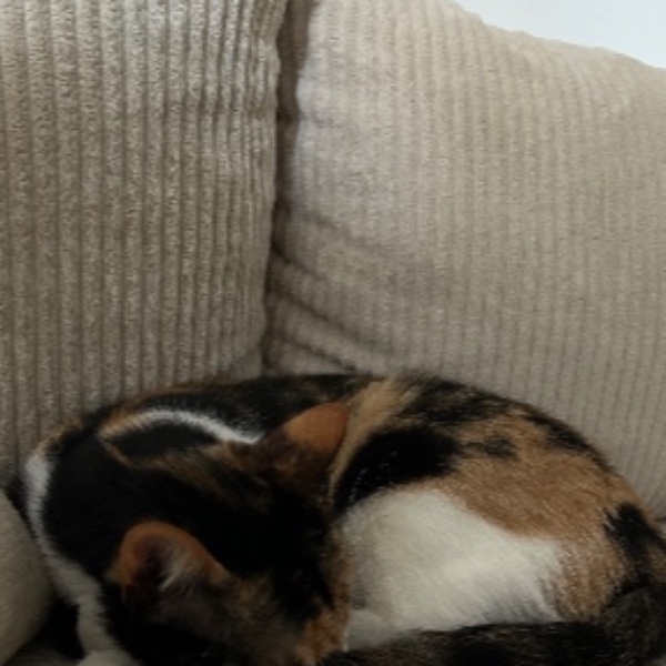 Nala