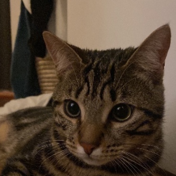 Yuji