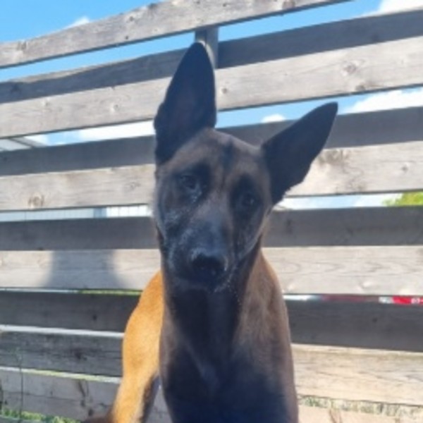 Max