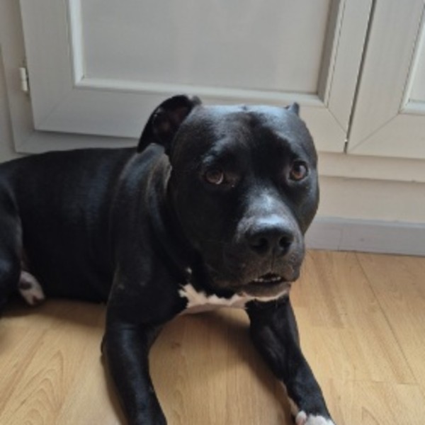 Tyson