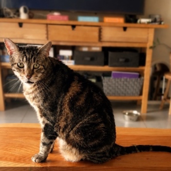 Kika