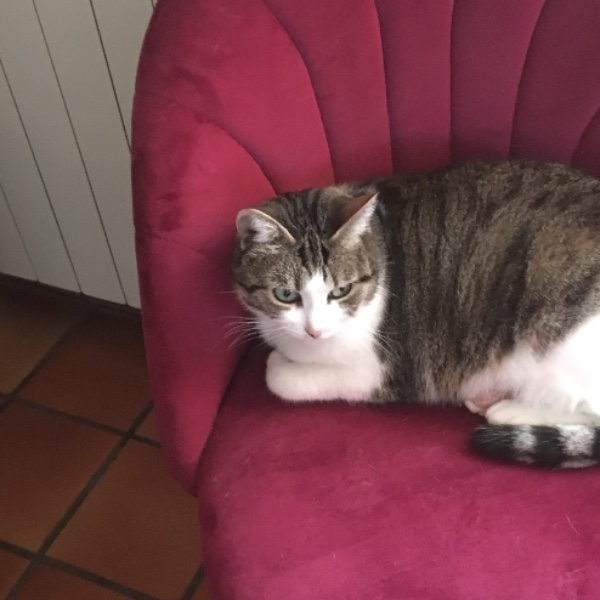 Kiki