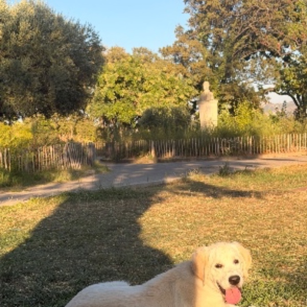 Winston