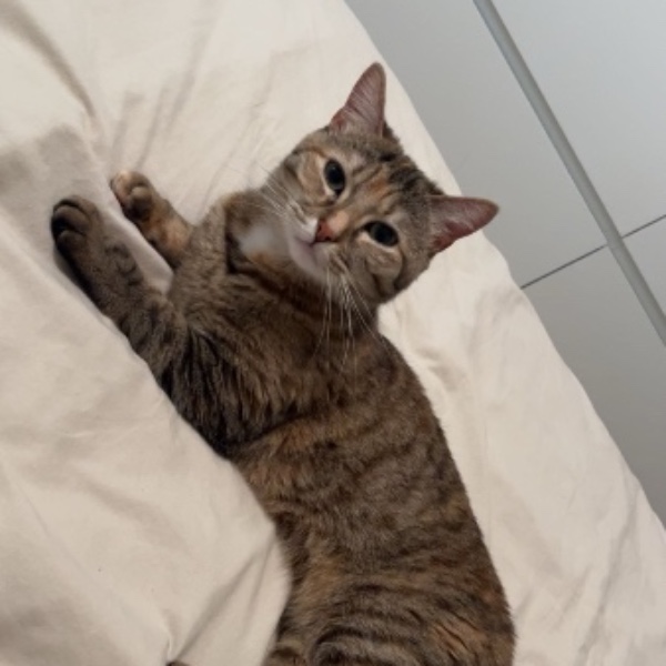 Luna