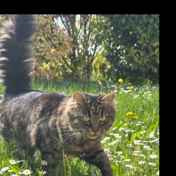Huguette