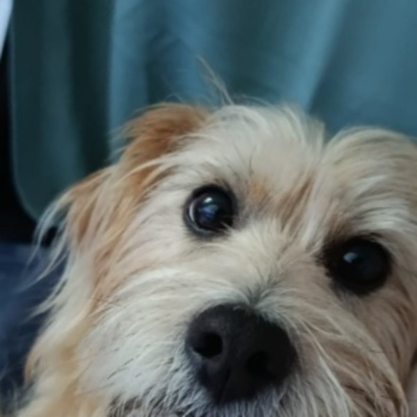 Ted