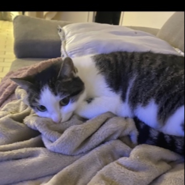 Photo de Minoucha