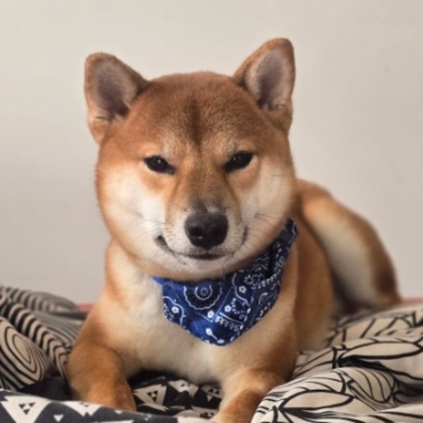 Tsuki