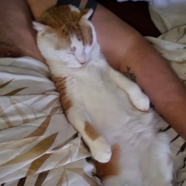 Chatouille