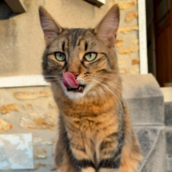 Toulouse