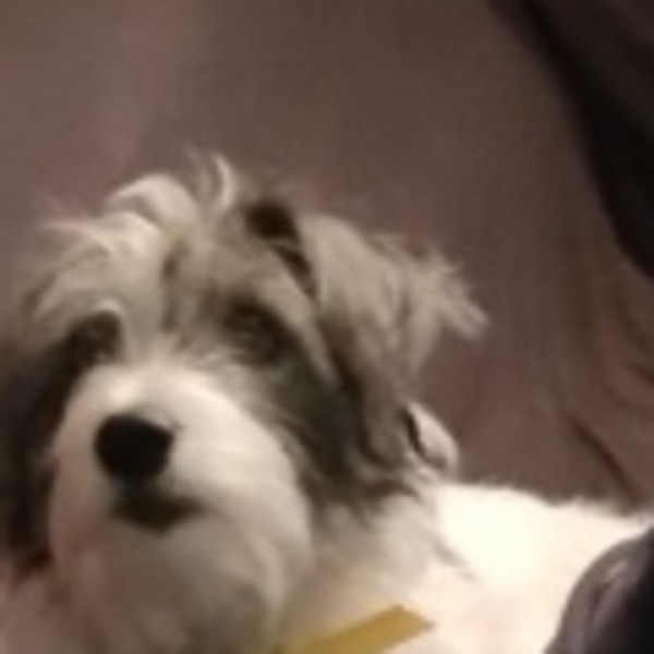 Nikita
