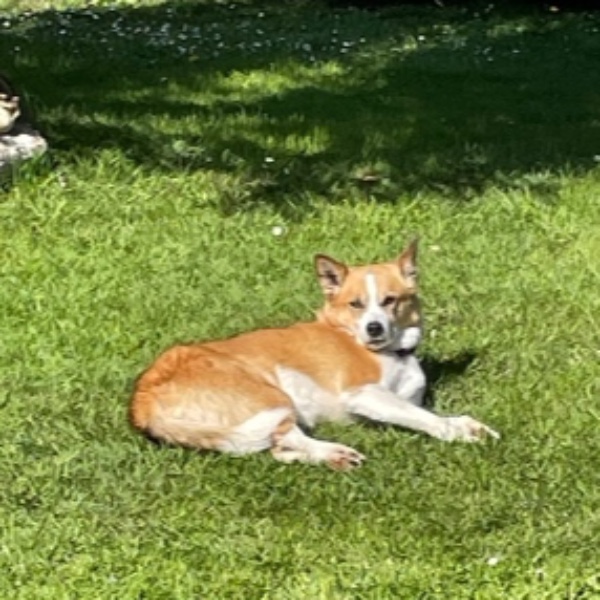 Photo de Jack