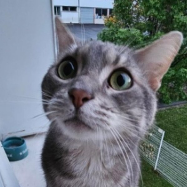 Kiki