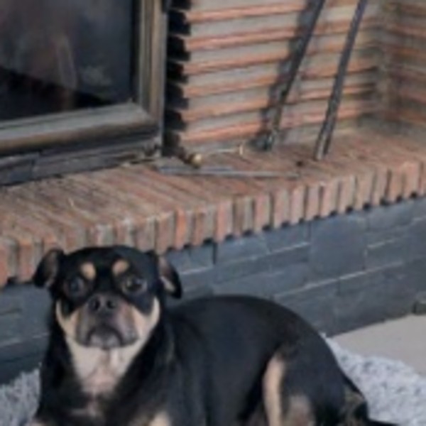 Jojo