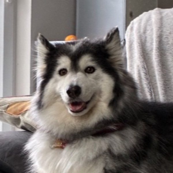 Nala