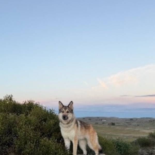 Kyarra