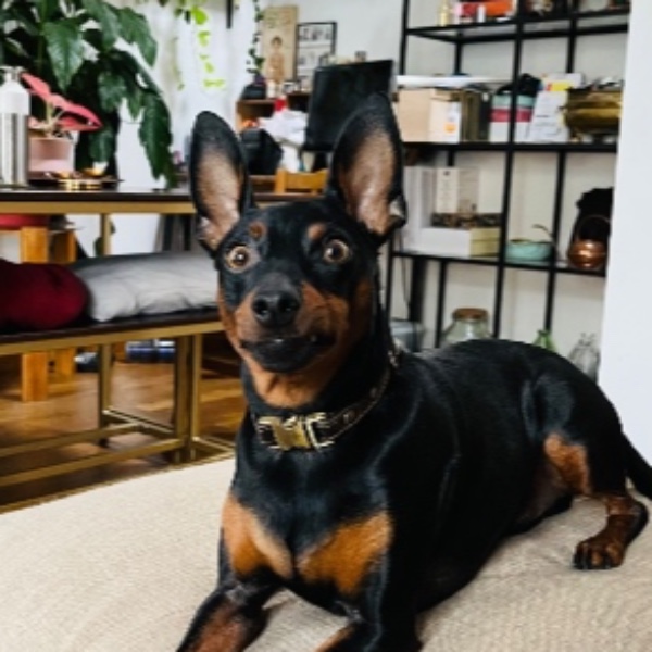 Pablo