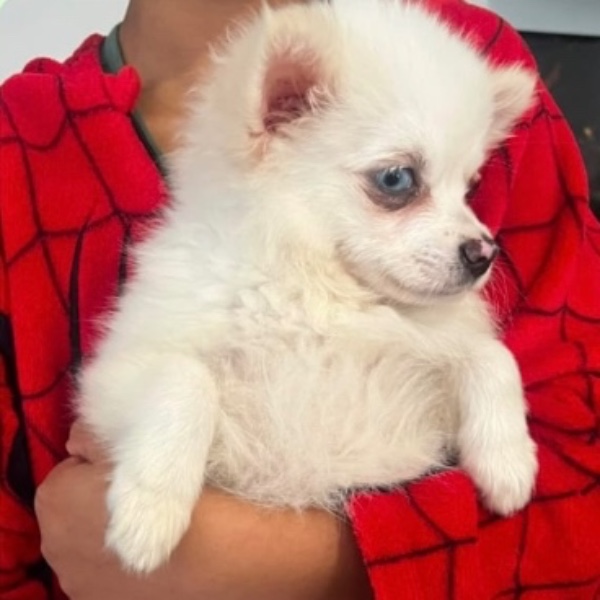 Coco