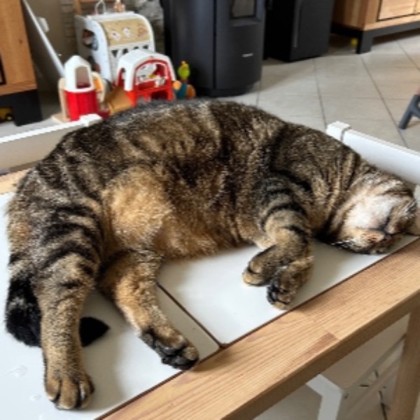 Niro