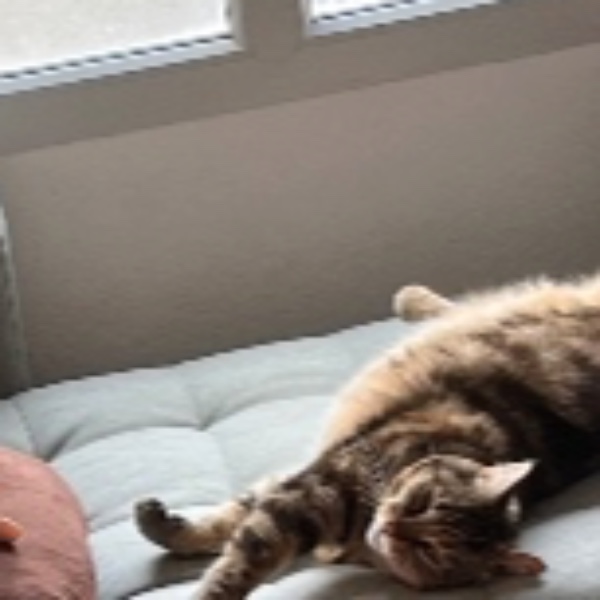 Kira