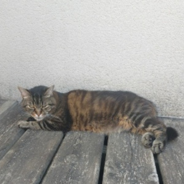 Photo de Pioupiou