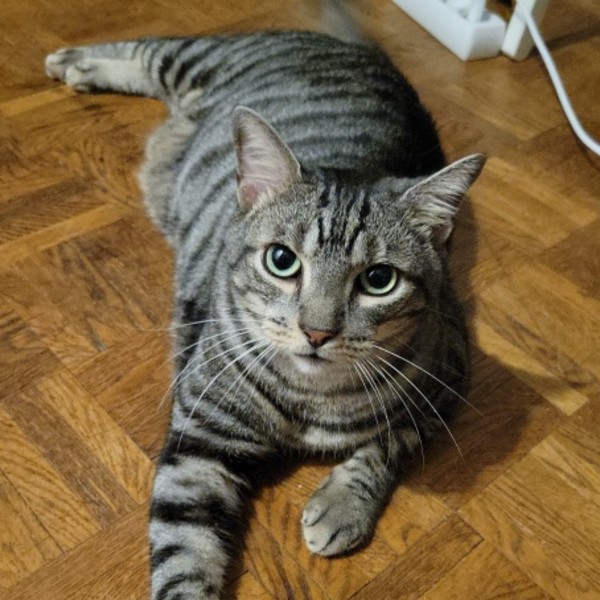 Pablo