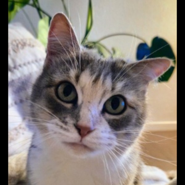 Minnie